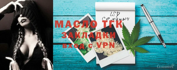 индика Балабаново