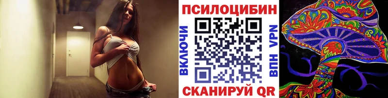 Псилоцибиновые грибы GOLDEN TEACHER  купить наркоту  Бронницы 